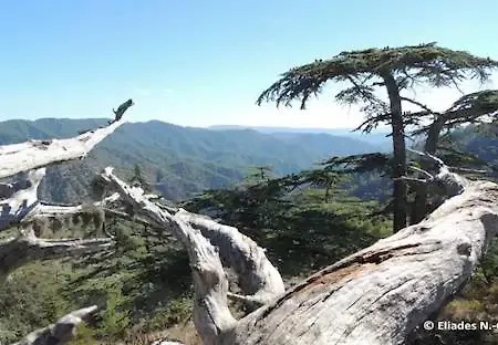 Akamas Sunset Boho Chic Maisonette By One Apartamento *