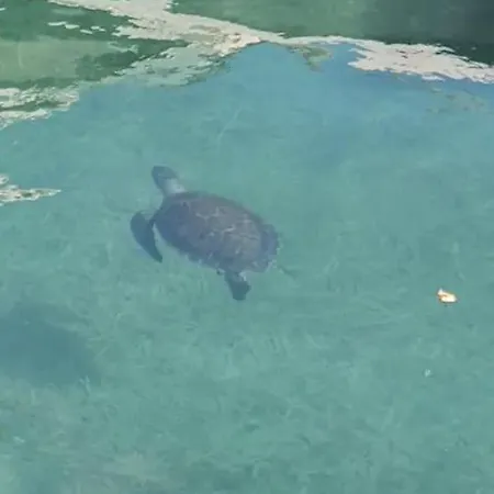 Appartement Akamas Sunset Boho Chic Maisonette By One *