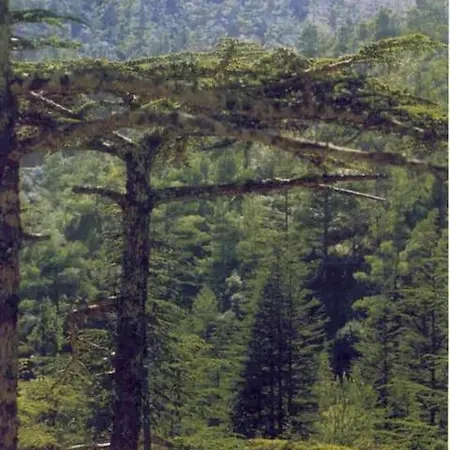 Akamas Sunset Boho Chic Maisonette By One Appartement Polis