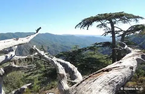 Akamas Sunset Boho Chic Maisonette By One アパート *