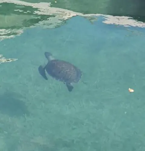 アパート Akamas Sunset Boho Chic Maisonette By One *