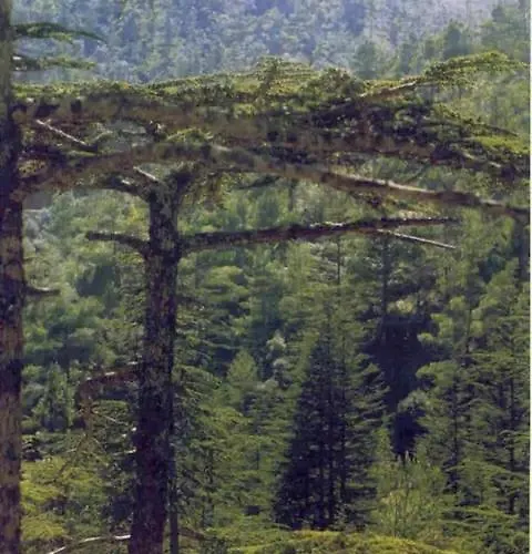 Akamas Sunset Boho Chic Maisonette By One アパート Polis